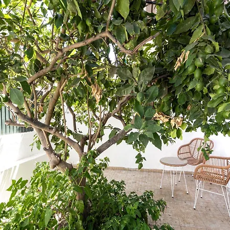 Apartamento Akicity Penha Peace